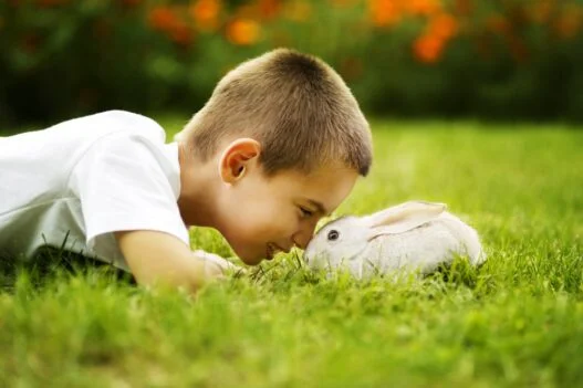 Dreng med kanin, som endnu mangler at få et godt kaninnavn